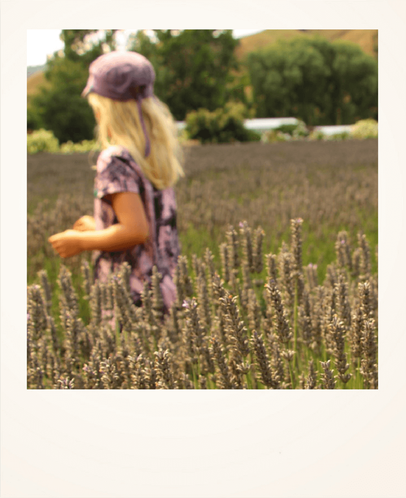 Lo que siempre quisiste saber acerca del reciclaje