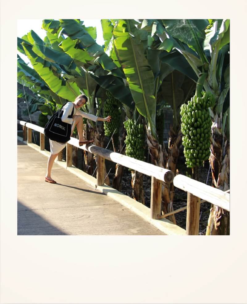 7 Planes sostenibles para esta Semana Santa