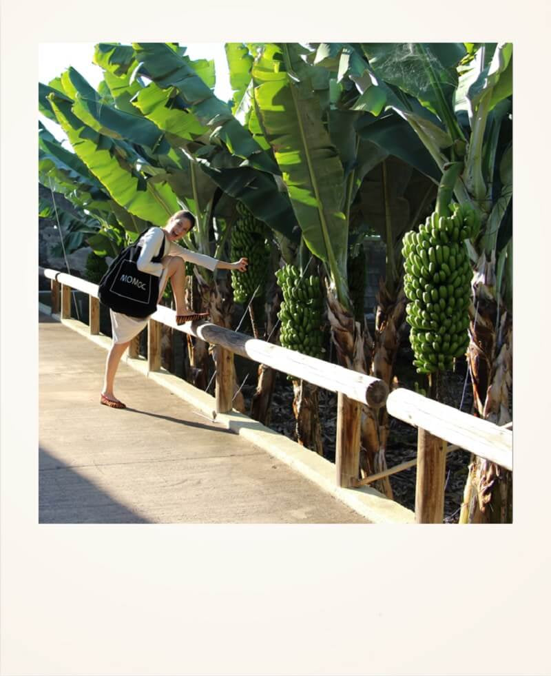 7 Planes sostenibles para esta Semana Santa