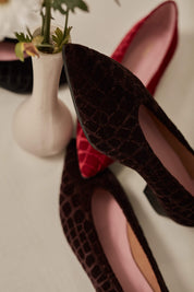 Danseurs Velvet Earth Coconut V.2.