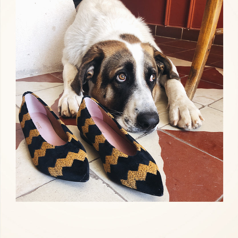 Productos sostenibles para tus mascotas