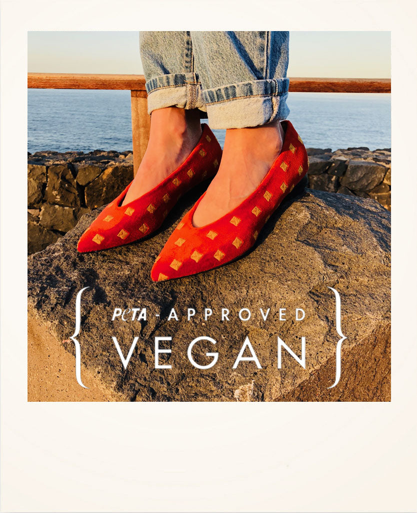 Todo lo que necesitas saber sobre nuestros materiales veganos
