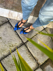 Urraca Azul vegan