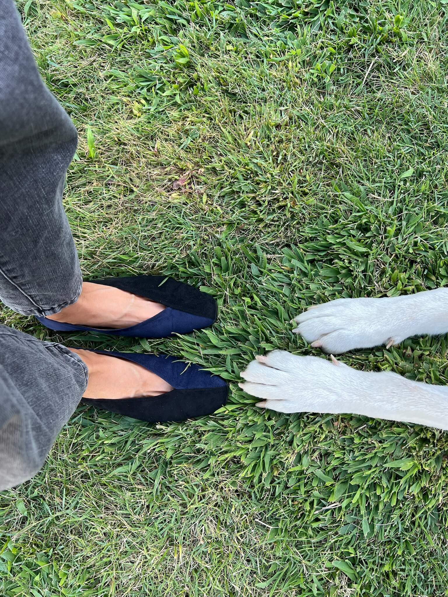 Ballerines bicolores noires/bleu marine